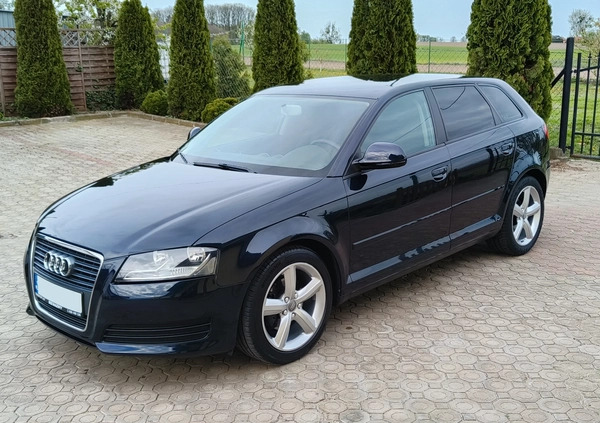 Audi A3 cena 22999 przebieg: 263000, rok produkcji 2008 z Gozdnica małe 529